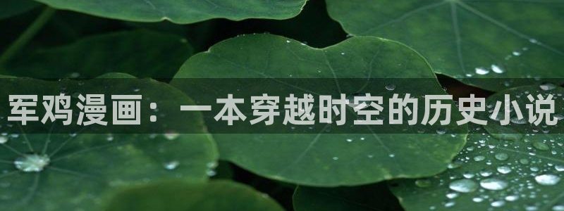负面恋情贝勒漫画完整版：军鸡漫画：一本穿越时空的历史小说