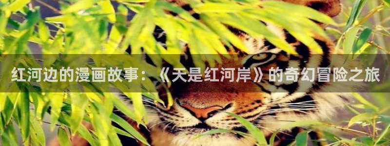 贝勒漫画在线观看虎视眈眈