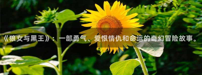 贝勒漫画全部漫画周期表
