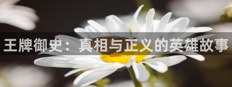 adb贝勒漫画免费观看