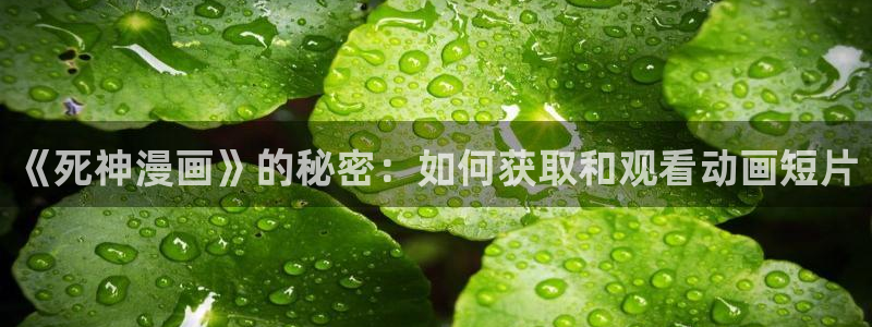 贝勒漫画巨人族的新娘：《死神漫画》的秘密：如何获取和观看动画短片