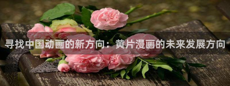 贝勒漫画在线阅读下拉式：寻找中国动画的新方向：黄片漫画的未来发展方向