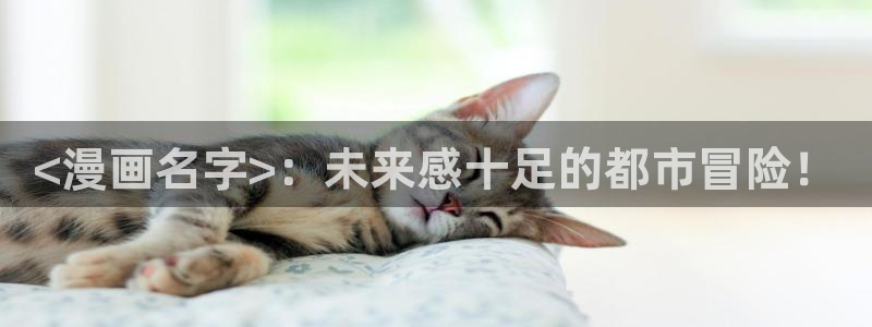 贝勒漫画网页版在哪里