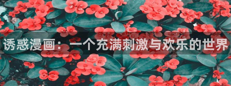 贝勒漫画在线漫画