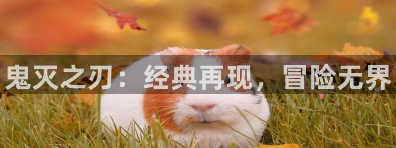 用户登录贝勒漫画