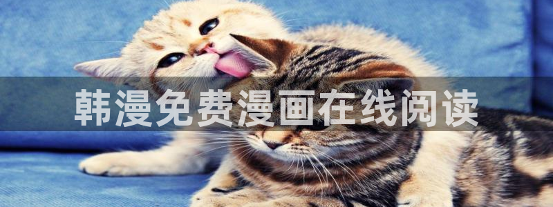 贝勒漫画更新到哪里了