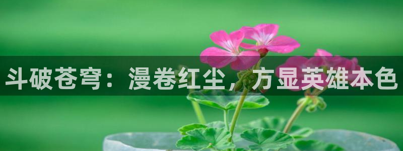 共享弟夫贝勒漫画