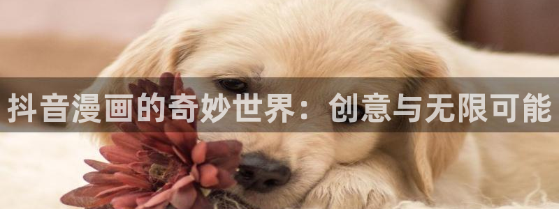 心动的声音贝勒漫画