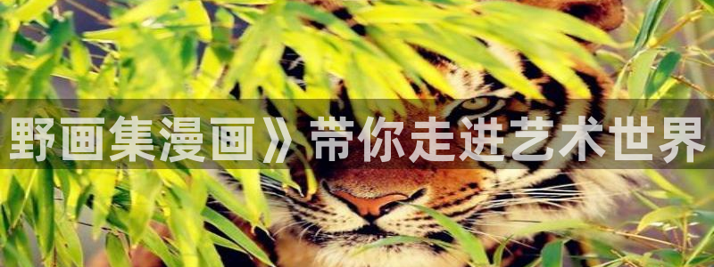 贝勒漫画免费