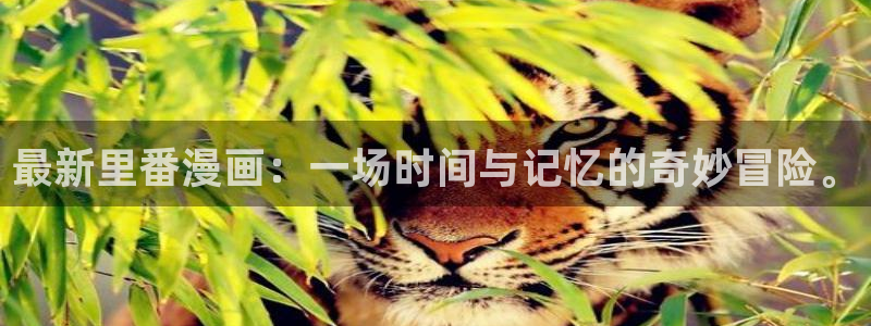 贝勒漫画韩漫