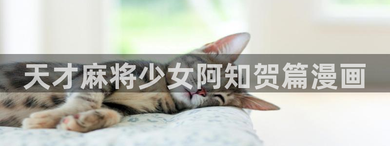 贝勒漫画全集：天才麻将少女阿知贺篇漫画