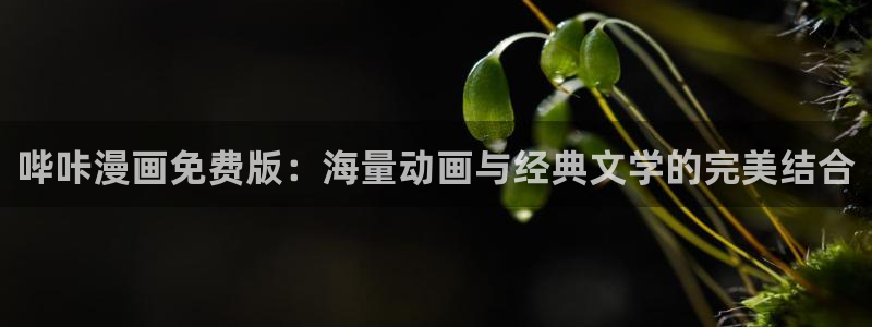 贝勒漫画-待分类：哔咔漫画免费版：海量动画与经典文学的完美结合