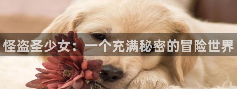 贝勒漫画app下载：怪盗圣少女：一个充满秘密的冒险世界