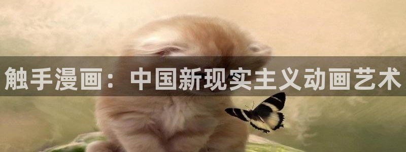 贝勒漫画正版入口：触手漫画：中国新现实主义动画艺术
